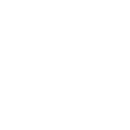smodin logo