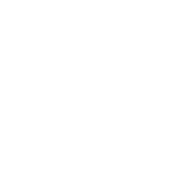 skoove logo