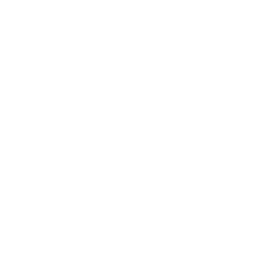 windy logo